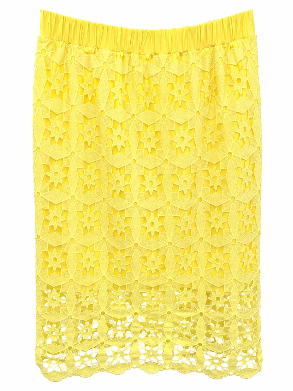 Anthropologie Lilly Clout Yellow Floral Lace Midi Skirt NWT M